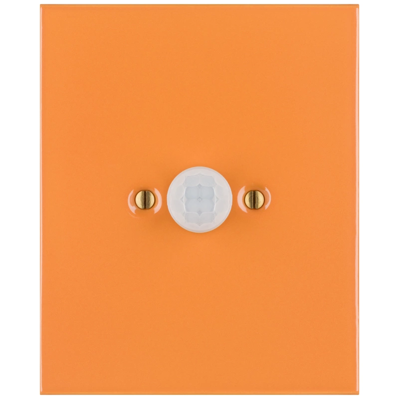 CAROTA